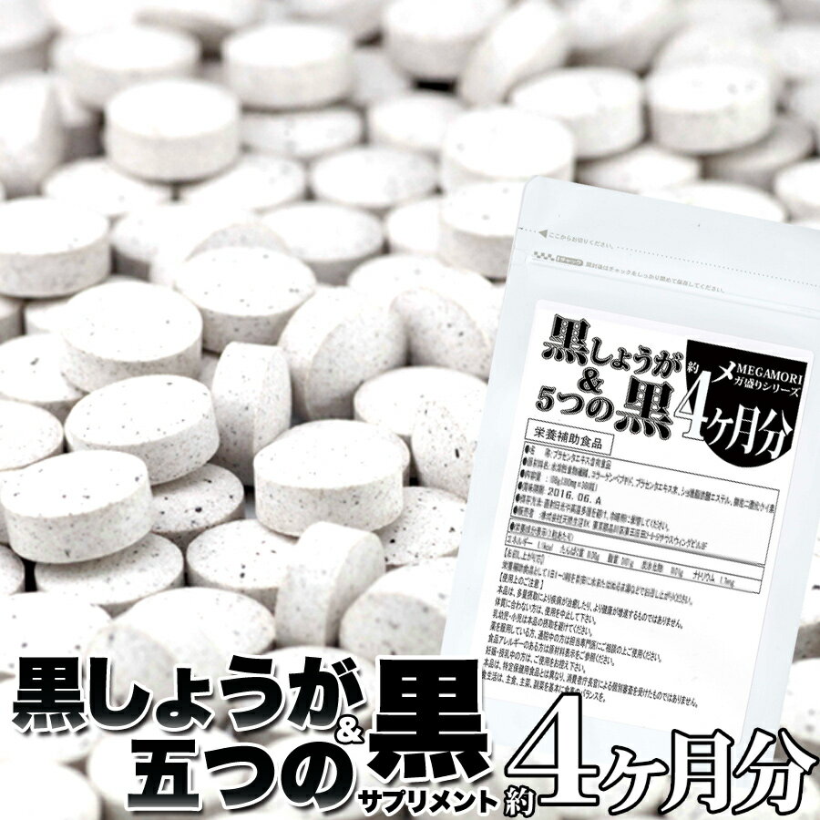 メガ盛り★黒しょうが＆5つの黒サプリ約4ヵ月分240粒 約4ヶ月分 1000円ポッキリ メール便 送料無料