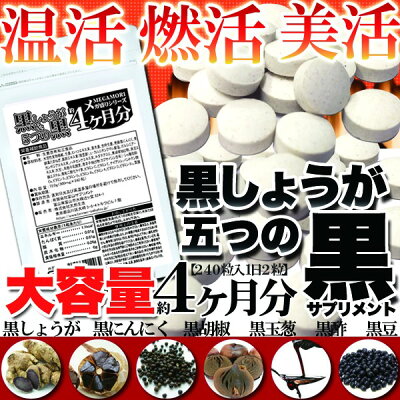 メガ盛り★黒しょうが&5つの黒サプリ約4ヵ月分240粒 約4ヶ月分 1000円ポッキリ メール便 送料無料 - Image 2
