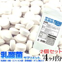 メガ盛り 乳酸菌 サプリ メントどっさり約4ヶ月分120粒x2個セット メール便 送料無料