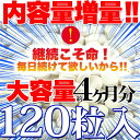 メガ盛り 乳酸菌 サプリ メントどっさり約4ヶ月分120粒 1000円ポッキリ メール便 送料無料
