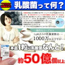 メガ盛り 乳酸菌 サプリ メントどっさり約4ヶ月分120粒 1000円ポッキリ メール便 送料無料