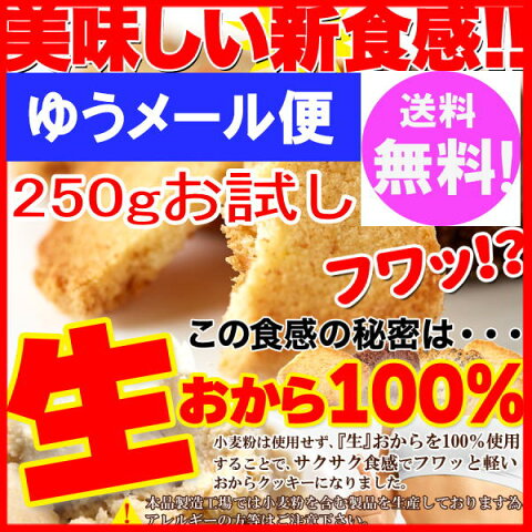 生おから100% 豆乳 おからクッキー 3種 250gお試し(プレーン・ココア・セサミ) 【訳あり】1000円ポッキリ ゆうメール便 送料無料(後払い不可)【おから ダイエット クッキー】