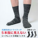 【送料無料】3色セット 靴下 メンズ 5本指ソックス シークレット5本指ソックス 日本製 5本指靴下 五本指ソックス 五本指靴下 おしゃれ 抗菌 防臭 吸水 吸汗 速乾 ソックス くつ下 サステナブル 5本指 五本指 蒸れない ムレない 水虫予防 厚手 冷え性 冷え症 隠れ5本指 丈夫