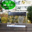 ペット 位牌 ペット位牌 クリスタル 立体的 3D内部レーザー彫刻 台形キューブ ( H80×W100mm ) メモリアル 仏具 遺影 供養 四十九日 お盆 ガ...