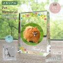 ペット 位牌 ペット位牌 クリスタル 『 角型スタンド 』 ペットメモリアル 仏具 遺影 手元供養 葬儀 四十九日 お盆 ガラス クリア 透明 思い出 記念日 オリジナル オーダーメイド 犬 猫 インコ ハムスター うさぎ 小動物 写真 画像 文字 名入れ インテリア 【 YTR012 】