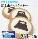 ゴディバ チョコチップクッキー 45枚入り×2　Godiva Chocolate Chip Cookies 45 pieces×2