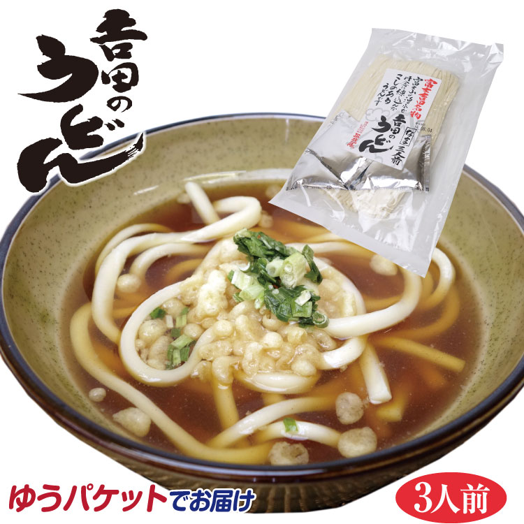 【山梨 お土産】吉田のうどん平袋3人前 吉田のうどん 山梨名物 ご当地麺 おうちご飯 お試し ポイント消化 買い回り 山梨名物 甲州名物 簡単調理 時短 おうちごはん おうち時間 【メール便でお届け】【ゆうパケット】