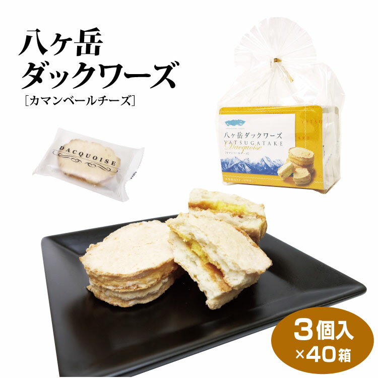 八ヶ岳 お土産 送料無料 八ヶ岳ダックワーズ 3個×40袋 山梨 やまなし 小淵沢 清里 洋菓子 焼き菓子 スイーツ