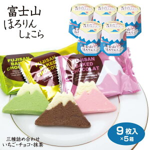 富士山 お土産 富士山ほろりんしょこら 9枚×5箱 ほろりんショコラ 世界文化遺産 富士山 河口湖 富士五湖 おみやげ いちご チョコ 抹茶 クッキー お菓子 洋菓子