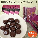 山梨 お土産 山梨ワインレーズンチョコレート15個入×3箱 菓子 洋菓子 チョコレート 山梨ワイン レーズンチョコ ワイン おつまみ ブランデー ワイン ウィスキー ワイエムカンパニー 干しぶどう ぶどう チョコレート菓子 チョコ