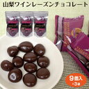 山梨 お土産 山梨ワインレーズンチョコレート9個入×3袋 菓子 洋菓子 チョコレート レーズンチョコ ワイン おつまみ ブランデー ワイン ウィスキー ワイエムカンパニー 干しぶどう ぶどう チョコレート菓子 チョコ