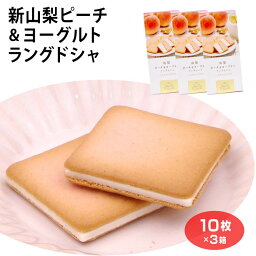 山梨 お土産 山梨ピーチ＆ヨーグルトラングドシャ10枚×3箱 やまなし おみやげ 白桃 桃 ピーチ ラングドシャ チョコ サンド クッキー スイーツ 洋菓子 お菓子 ワイエムカンパニー