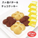 山梨 お土産 八ヶ岳バター＆チョコクッキー 20枚×5箱 八ヶ岳 清里 小淵沢 おみやげ クッキー チョコ バター