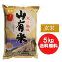 【送料無料】【令和3年産】お米・山有米・玄米（5kg）※軽減税率対象商品