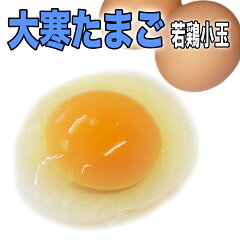 https://thumbnail.image.rakuten.co.jp/@0_mall/ymd-egg/cabinet/shouhin/daikan-wakadori2021.jpg