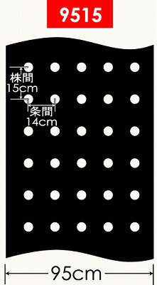 DAIM�������ڱ��ѷꤢ���ޥ����1�����˳���15cm��5�󡦾��14cm������95cm��Ĺ��50m��9515