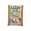 【頑張って送料無料！】お庭の雑草