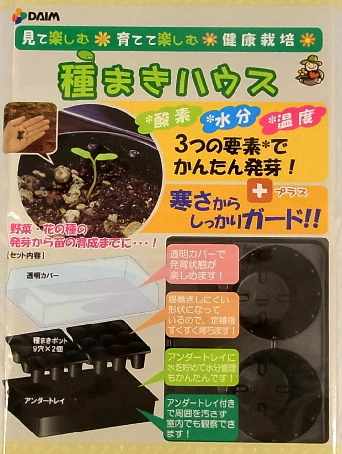 DAIM ��ޤ��ϥ��� 9��ȥ졼 2���ա�H-2����Ȣ