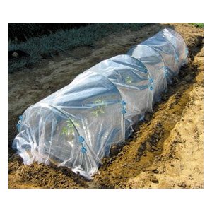 DAIM���ȥ�ͥ�ѥå�������11mm�ѡ�10����������󥸡�F-13