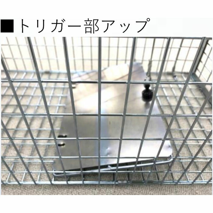 �ɹ��� ǭ���ݸ�� �ͤ���� NK-1����ޤǤ�̵��Ƨ�� �����פ������Ǥ������õ������ѡڴ�ĥ�ä�����̵������