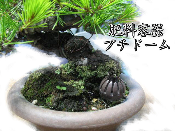 ����¡��ץ��ɡ��� S 18���� ��2653��4944634026530��