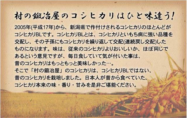 ＜令和3年産＞田辺さん家の新潟県産コシヒカリ100％白米［5kg］※有機質肥料・低減農薬【頑張って送料無料！】