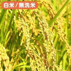 https://thumbnail.image.rakuten.co.jp/@0_mall/yminfo/cabinet/00281601/rice2019-sub.jpg