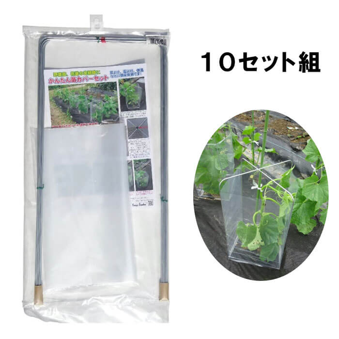 【No.228】かんたん苗カバー 10セット組　風よけ、霜よけ、保温などに効果抜群　GREENGARDEN グリーンガーデン　【頑張って送料無料！】