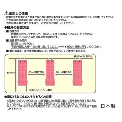 �������ΤǤ���ѡ�TYN����Ļ�к������ �ϥ��ӥ���ʤ�ƨ���롩 6����������HBH-6�ڴ�ĥ�ä�����̵������