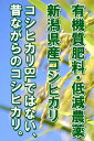 今年もおいしいコシヒカリができました!【smtb-TK】【送料無料】発送開始です!【 6回継続注文限定 】23年度産田辺さん家の新潟県産コシヒカリ100%有機質肥料100%栽培・低減農薬 コシヒカリ10kg(5,050円送料無料)