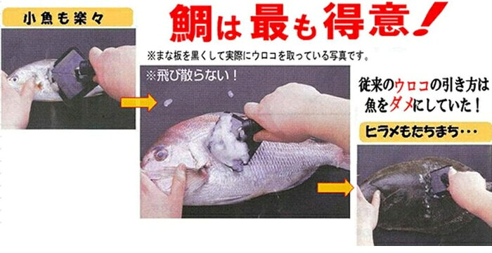 �ڴ�ĥ�ä�����̵�����ۤ�������� �ڥȥ� ���⡼��ʥ֥�å��ˡ�PU-002�ϡ���������