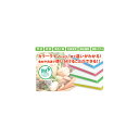 三洋化成 カラー抗菌業務用まな板20S20×300×450mmカラーのよって食材の使い分けに最適メーカー直送のため代金引換、日時指定不可<安心の日本製>【頑張っ...