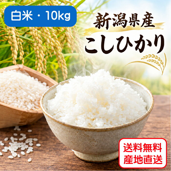 ＜令和8年産新米・白米＞田辺さん家の新潟県産コシヒカリ100％［10kg］※有機質肥料・低減農薬【頑張って送料無料！】 yminfo-10000914 村の鍛冶屋 パッケージ画像