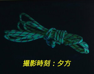 【頑張って送料無料!】蓄光反射ガイロープ(テントロープ)5mm×20M 1本 TGR-20真っ暗なところでぼんやり光り、光が当たればキラキラする反射材入!アルミ自在金具はついてませんキャンプ中の事故防止に!通販格安セール情報 楽天 通販