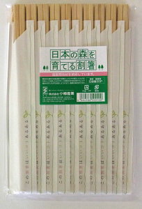 【29084】日本製 日本の森を育てる割箸桧元禄20本入り箸袋入り 20.5cmと使いやすい箸袋入り割り箸【ネコポス配送】【沖縄・離島でも頑張って送料無料！】