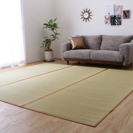 江戸間6畳 261×352cm DX素肌美人 い草 ござ 上敷き 和室 敷物 カーペット リビング 夏 抗菌防臭 消臭 新生活 ID002 送料無料 新品 江戸間6畳 261×352cm DX素肌美人 い草 ござ 上敷き 和室 敷物 カーペット リビング 夏 抗菌防臭 消臭 新生活 ID002 送料無料 新品