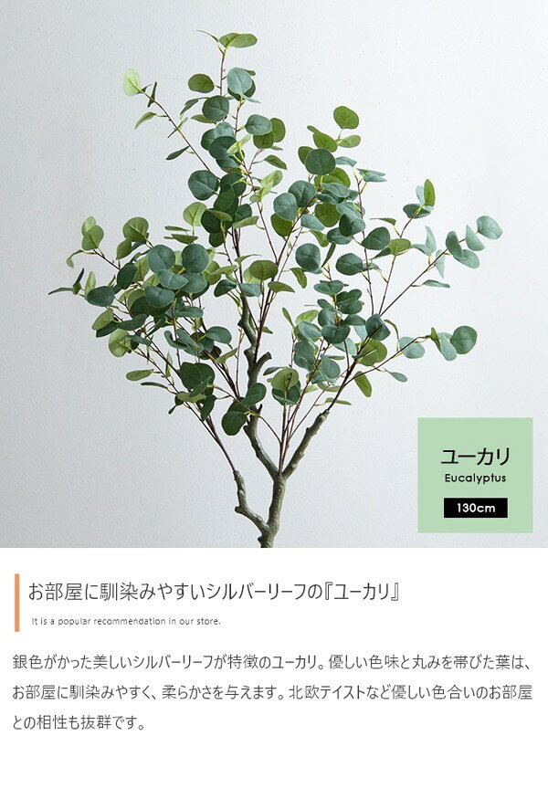 ���տ�ʪ �ե��������꡼�� �桼���� �⤵130cm ���������ñ ȭ�դ� ������� ¤�� �����޿͹���ʪ ���� ��ӥ� ���ӡ� Nature���꡼�� ID003