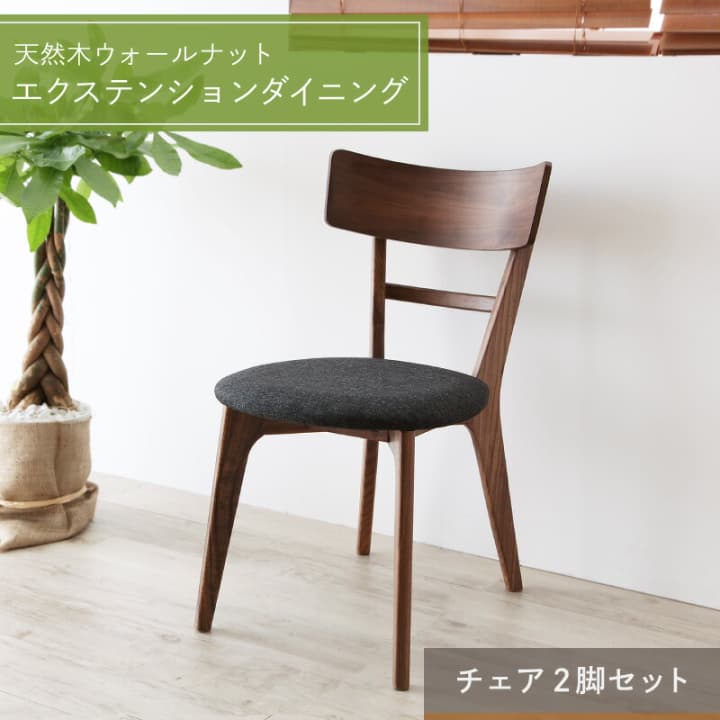 ダイニングチェアのみ2脚組セット一...