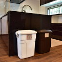 ごみ箱 ダストボックス 30L ゴミ箱 蓋 フタ付き ロック式 シンプル キッチン 屋外 完成品 日本製 ID012