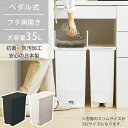 ゴミ箱 ダストボックス 35L ペダル式 キャスター付 ツイン 両開き 観音開き ごみ箱 フタ付き 袋止め付き 抗菌 防汚 キッチン リビング 棚下 カウンター下 ID012