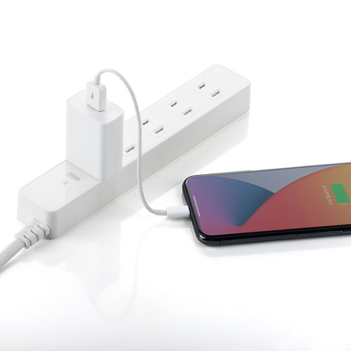 USB充電器 1A ホワイト 家庭用コンセントからUSB電源出力に変換 AC充電器 サンワサプライ ACA-IP86W 送料無料 メーカー保証 新品