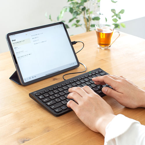 USB Type-Cスリムキーボード テンキー無し 86キー 薄型＆コンパクト ブラック SKB-SL32CBK サンワサプライ 送料無料 メーカー保証 新品