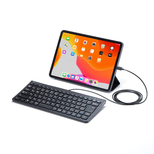 USB Type-Cスリムキーボード テンキー無し 86キー 薄型＆コンパクト ブラック SKB-SL32CBK サンワサプライ 送料無料 メーカー保証 新品