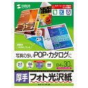 カラーレーザー用フォト光沢紙 厚手 B4 30枚 写真の多い、POP カタログに最適 0.185mm厚 LBP-KAGNB4N サンワサプライ 送料無料 新品
