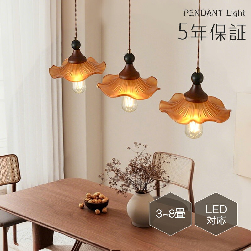 5ǯݾڡۥڥȥ饤 ˥ ̲ 饹  ȥ졼  ֤Ӥ 1 E26 led  ץ ...