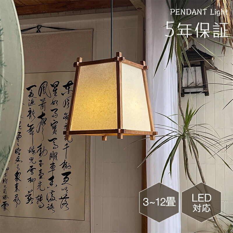 5ǯݾڡۥڥȥ饤 ˥ ̲   ʪ  ȥ졼   1 E26 led  ...