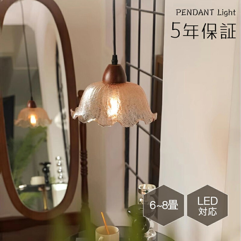 5ǯݾڡۥڥȥ饤 ˥ ̲ 饹 ȥ졼  1 E26 led  ץ ȥ ǥ ŷ...