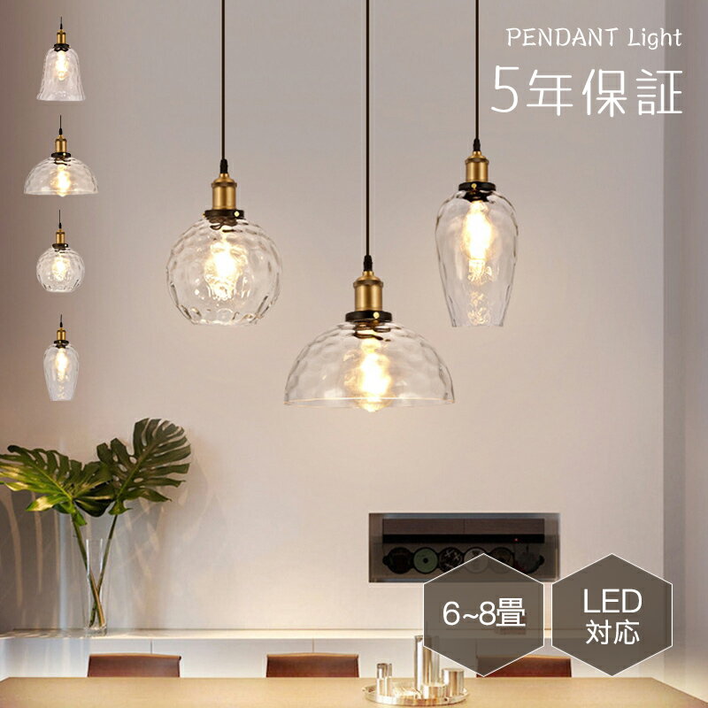 5ǯݾڡۥڥȥ饤 ˥ ̲ 饹 ȥ졼     1 E26 led  ץ...