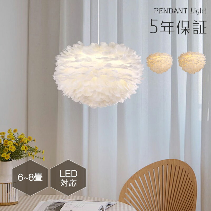 5ǯݾڡۥڥȥ饤 ˥ ̲   ȥ졼   1 E26 led  ץ ȥ ...