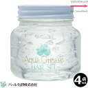 4点セット・送料無料! パール化研 アクアグリース ヘアーセット 390g 【無着色、無香料】グリース ※一部地域対象外